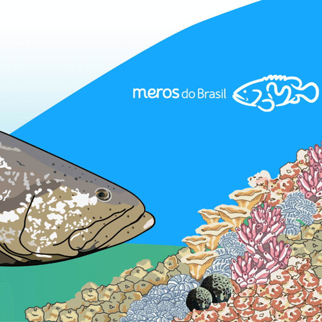 M Carro 1080 Tl1png